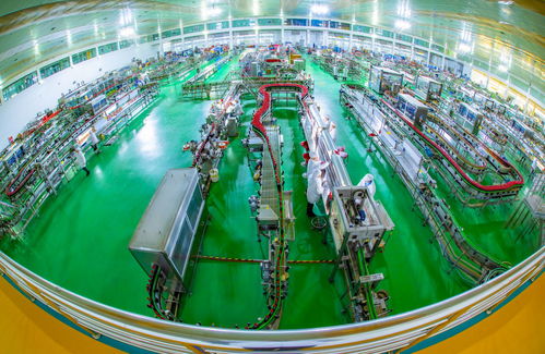 技術研發(fā)引領高質量發(fā)展 勁牌公司的創(chuàng)新實踐