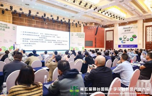 小種子撬動大產(chǎn)業(yè) 第五屆邢臺國際十字花科蔬菜產(chǎn)業(yè)大會盛大啟幕